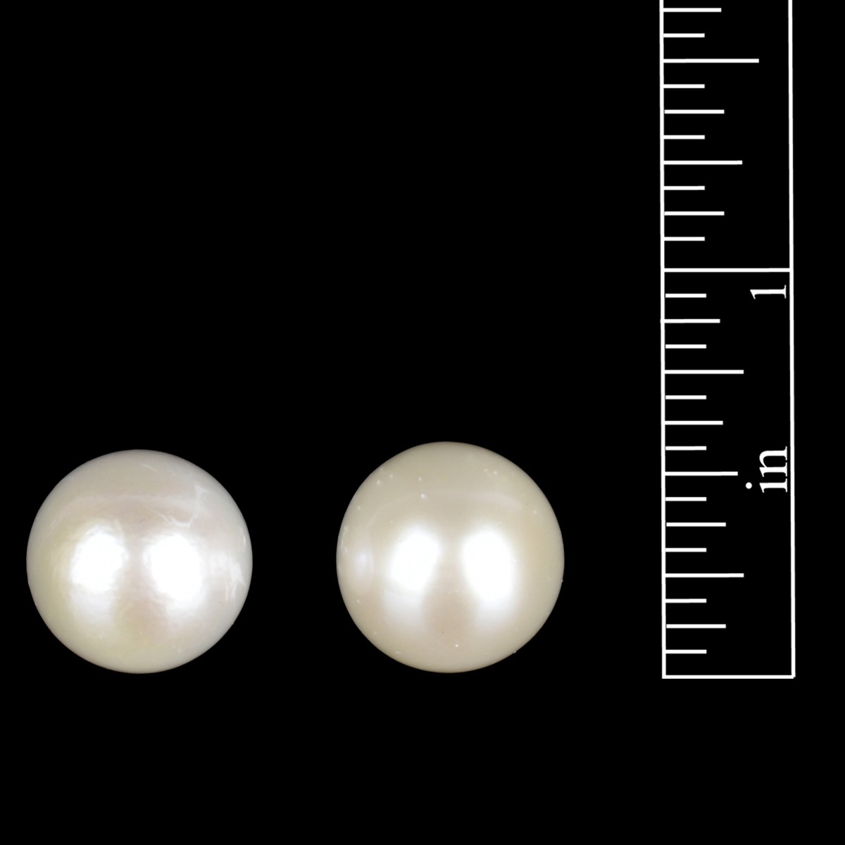 South Sea Pearl Ear Studs