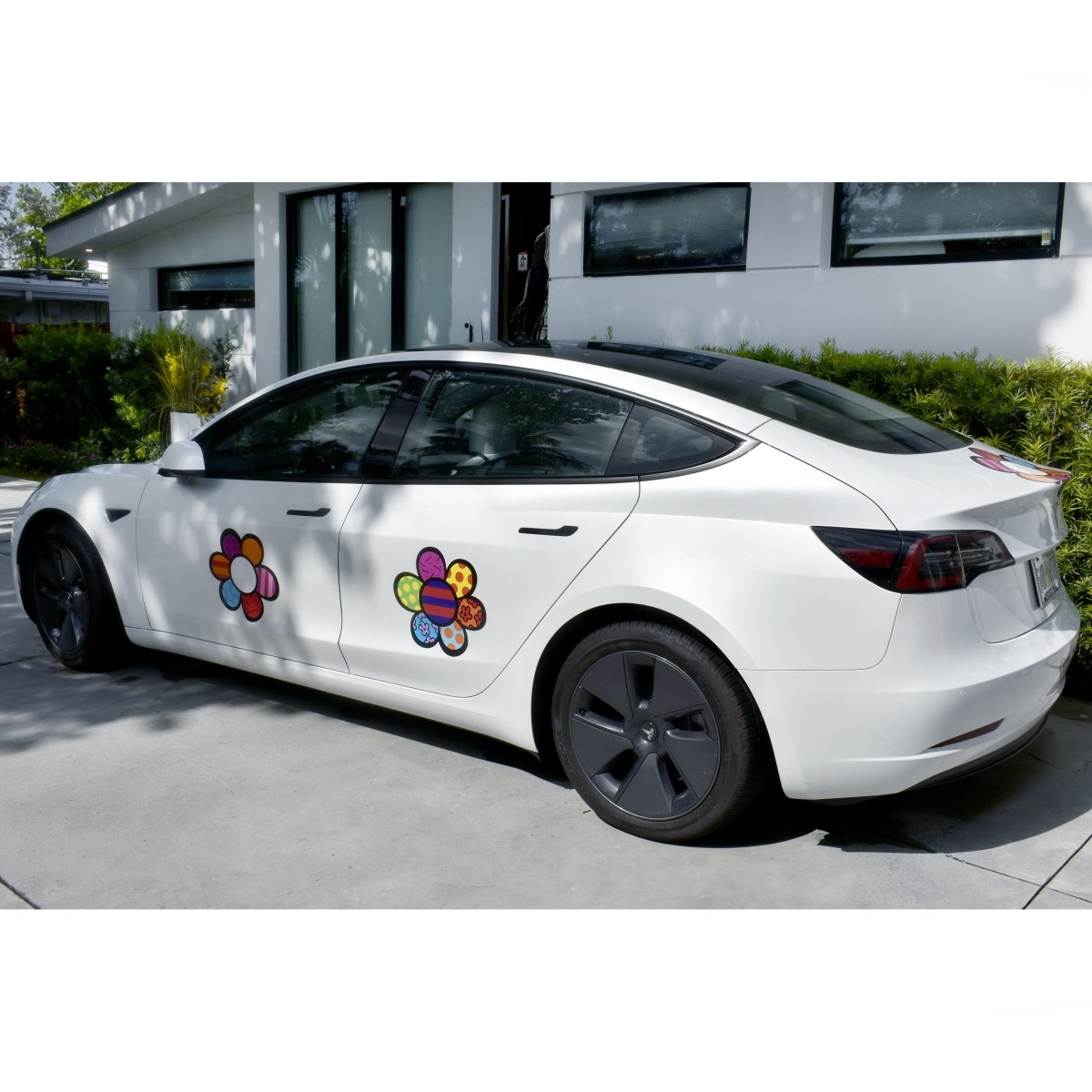 2022 Tesla Model 3 with Romero Britto Art