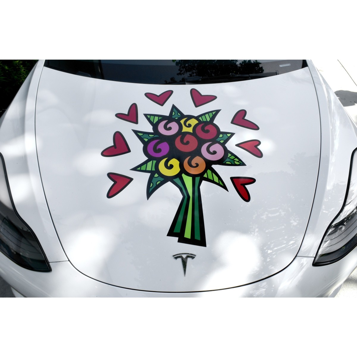 2022 Tesla Model 3 with Romero Britto Art