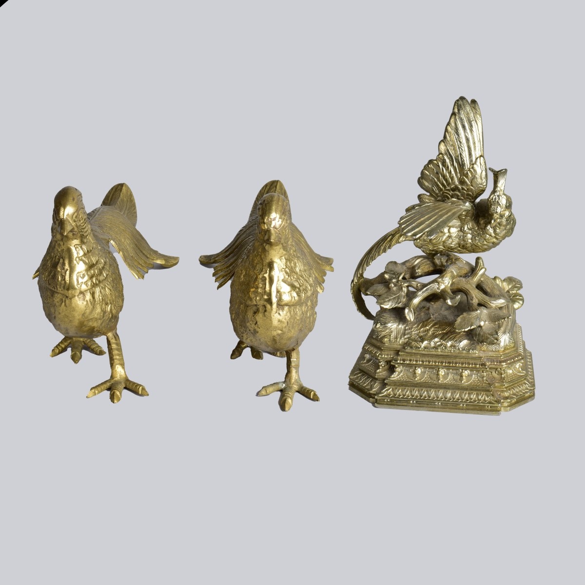 Three Pheasants Birds