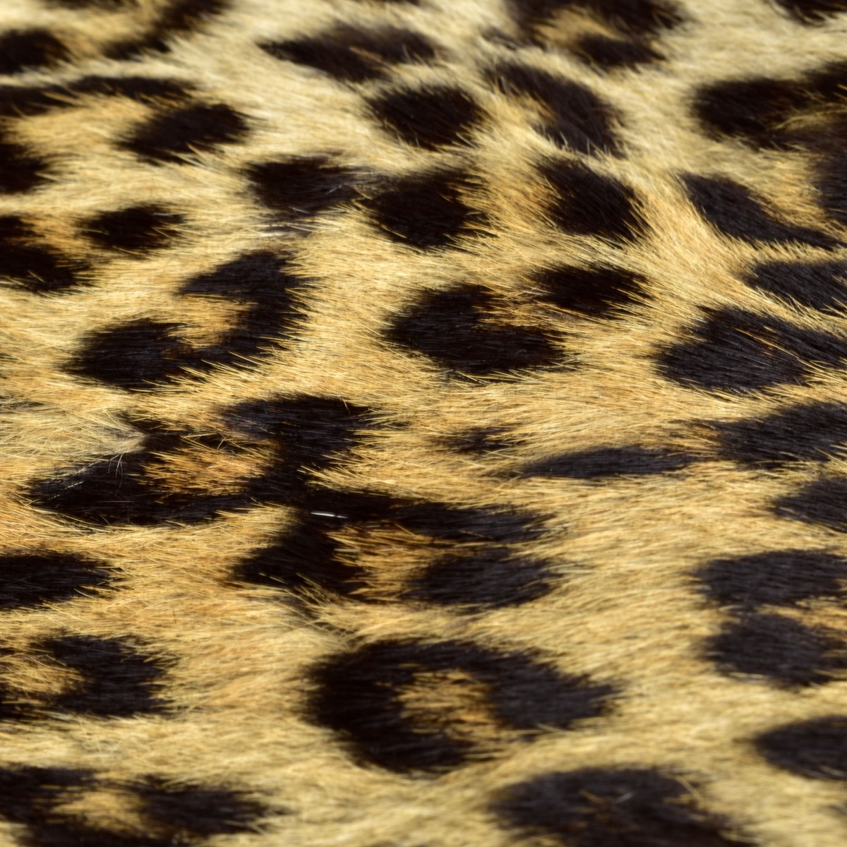 Two Genuine Leopard Skin Muff Handbags