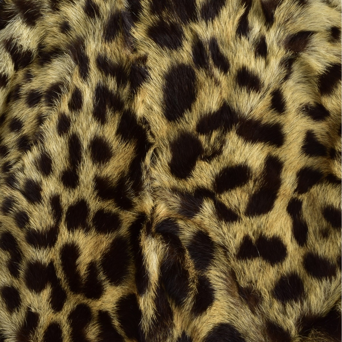 Two Genuine Leopard Skin Hats