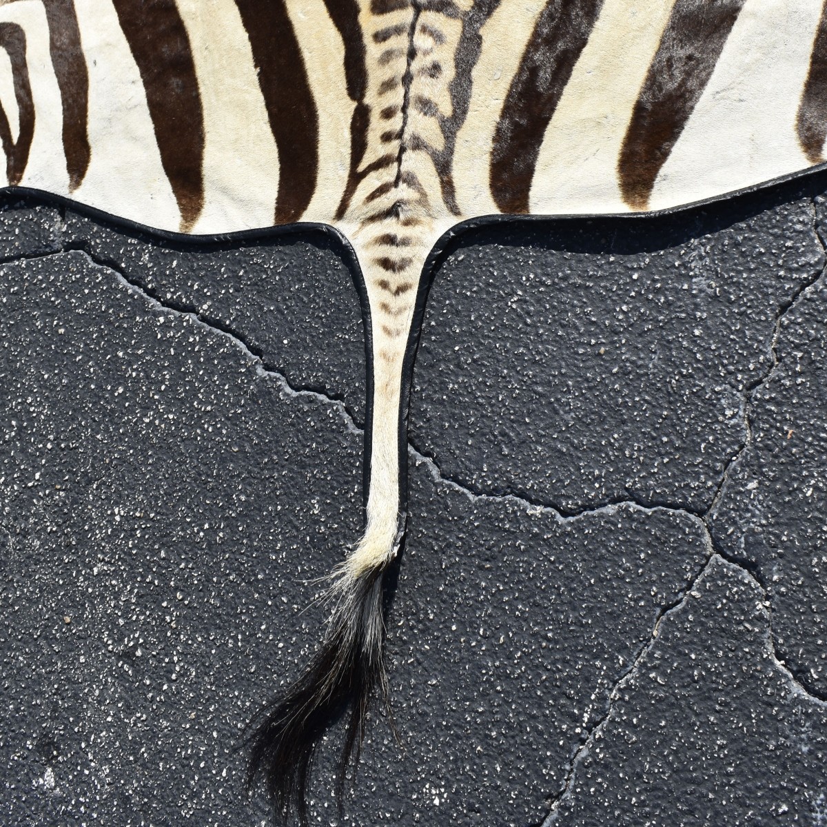 Genuine Hartman Zebra Skin Rug