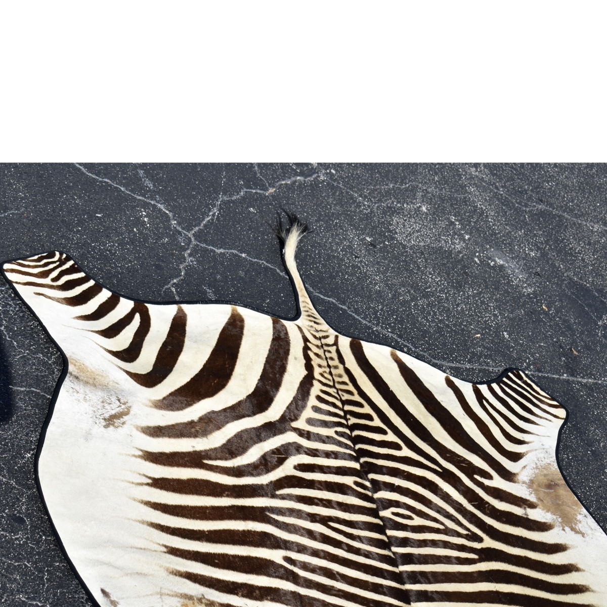 Genuine Hartman Zebra Skin Rug