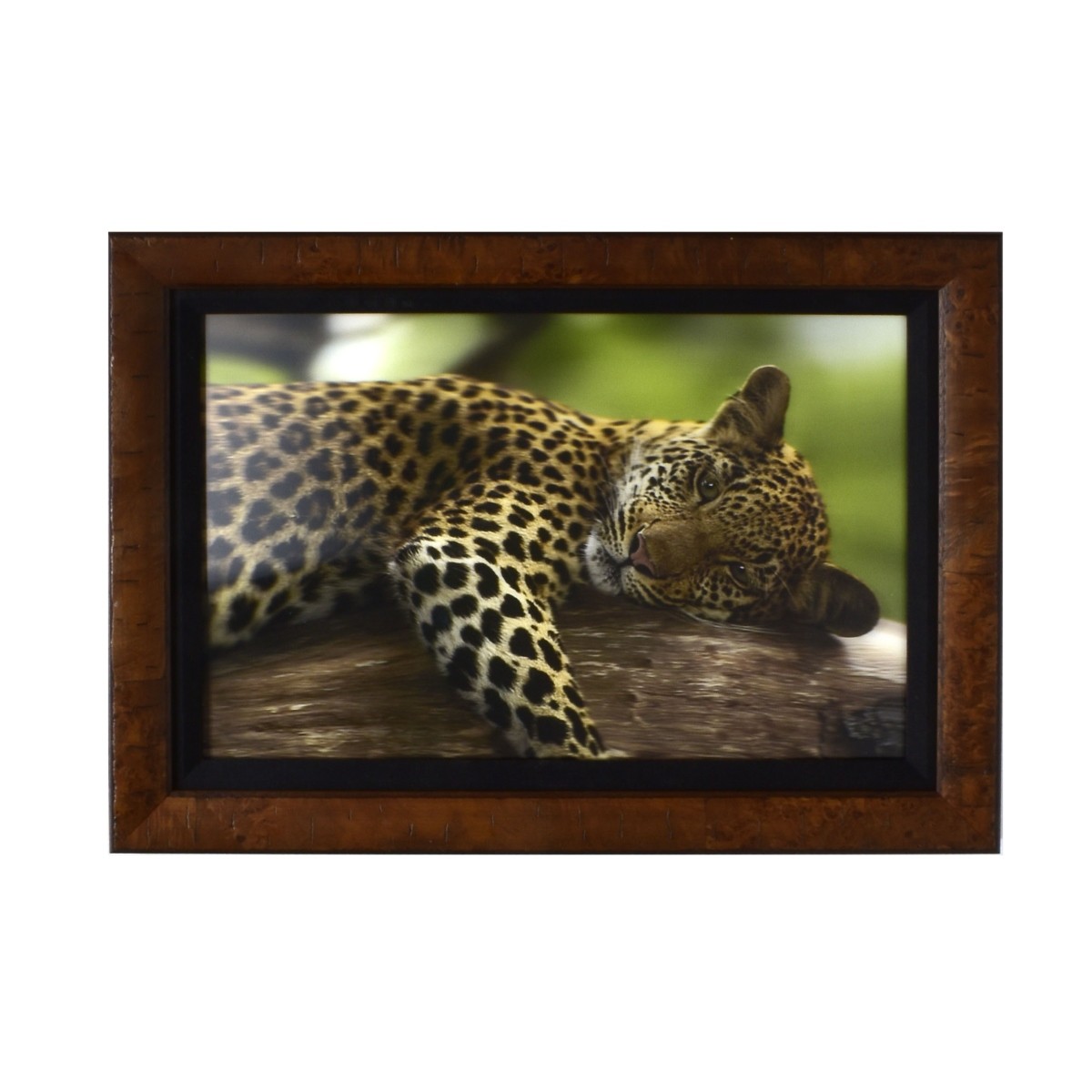 Framed Contemporary Lenticular Print