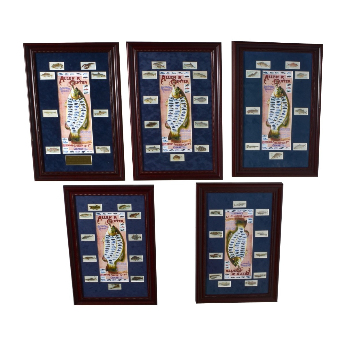 Five Framed Allen & Ginter Prints