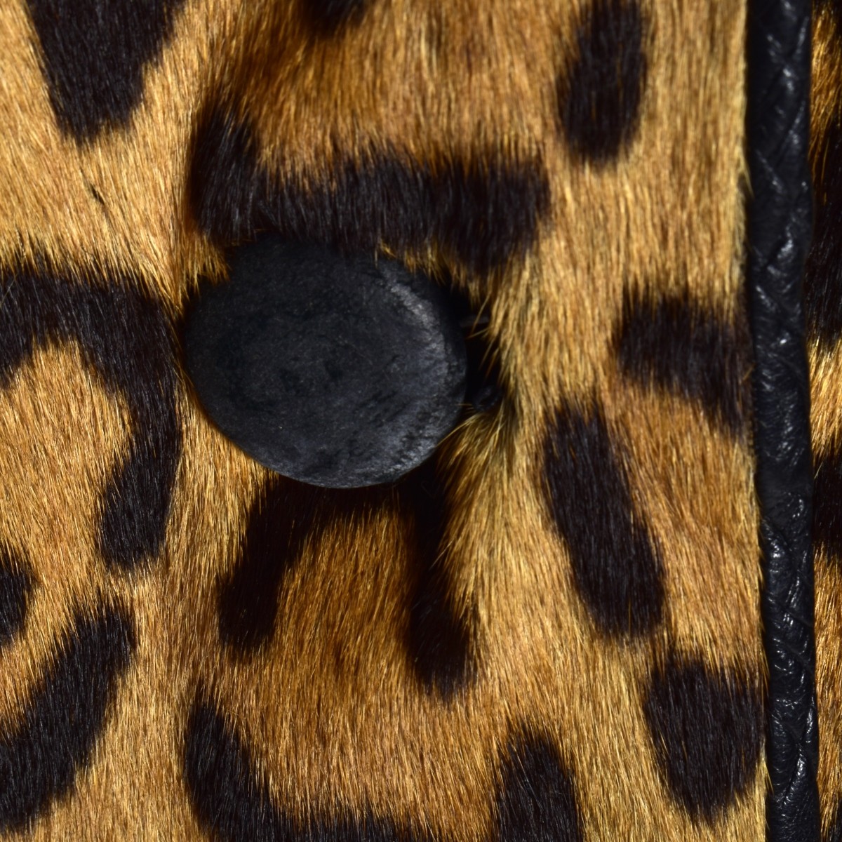 Jaguar Skin Coat