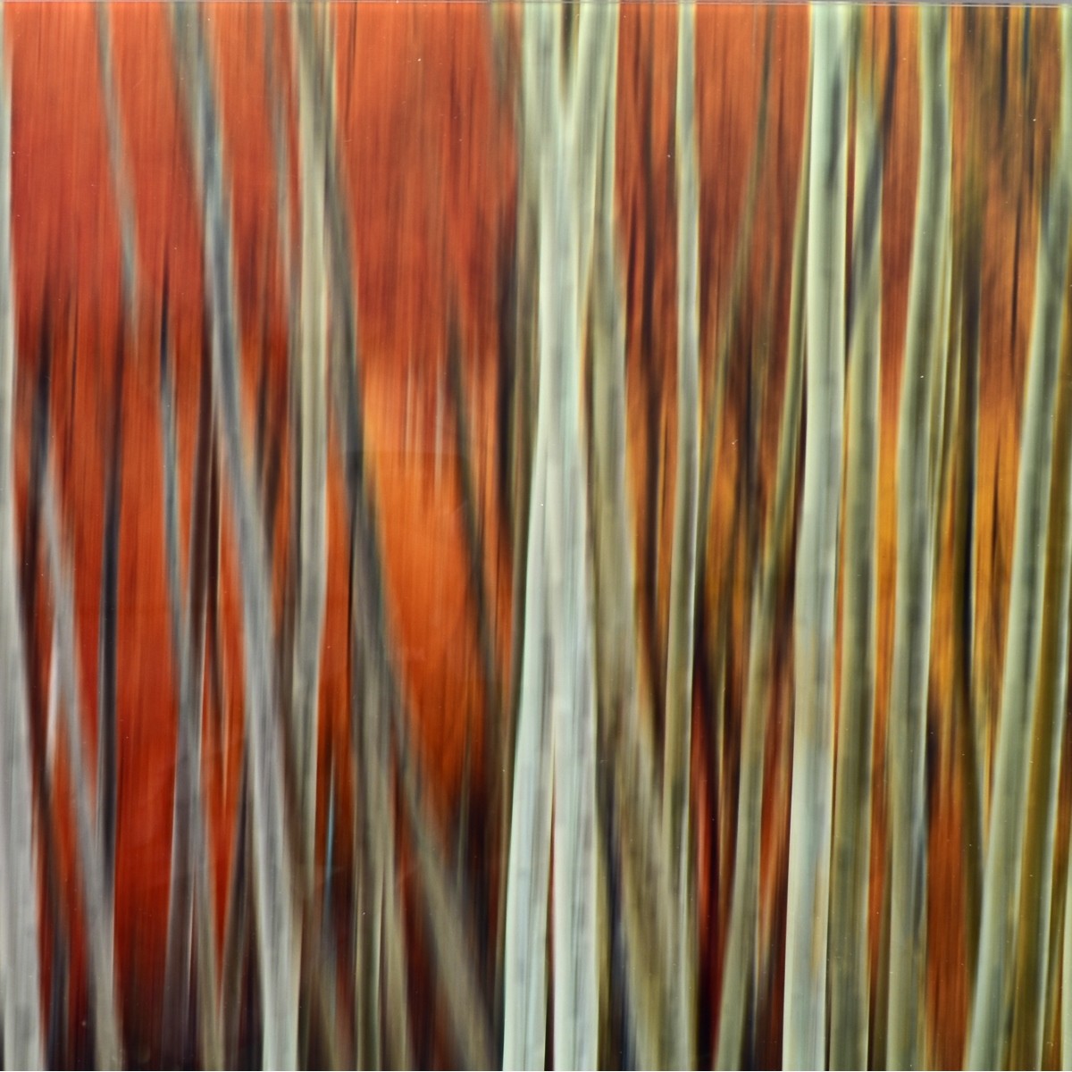 Peter Lik (Australian 1959 -) Blur