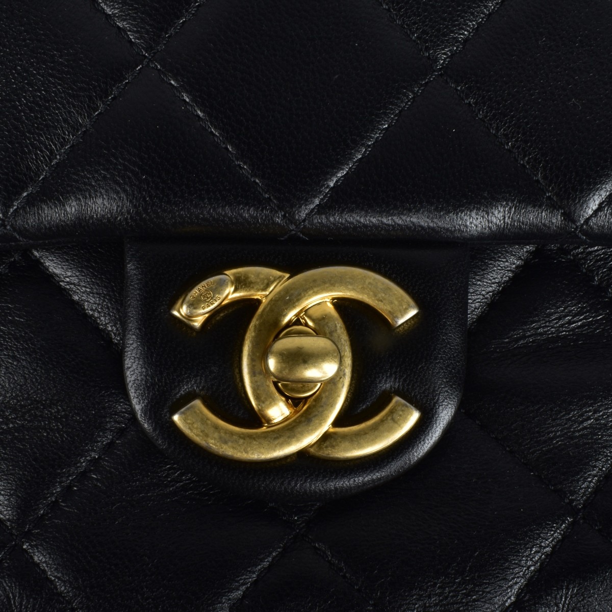 Chanel Quilted Lambskin Side - Pack Bags