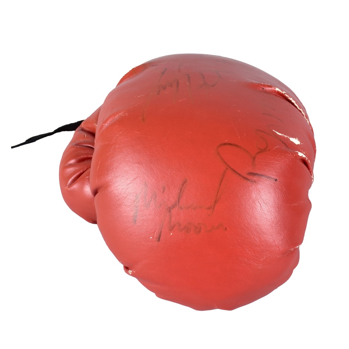 Autographed Everlast Boxing Gloves