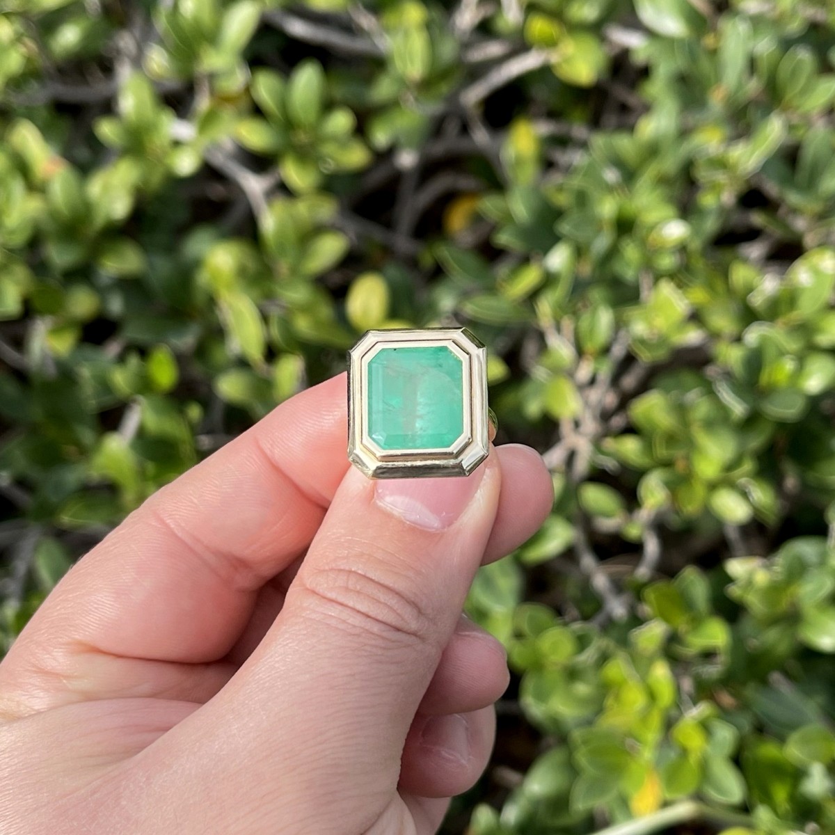 Emerald and 14K Ring