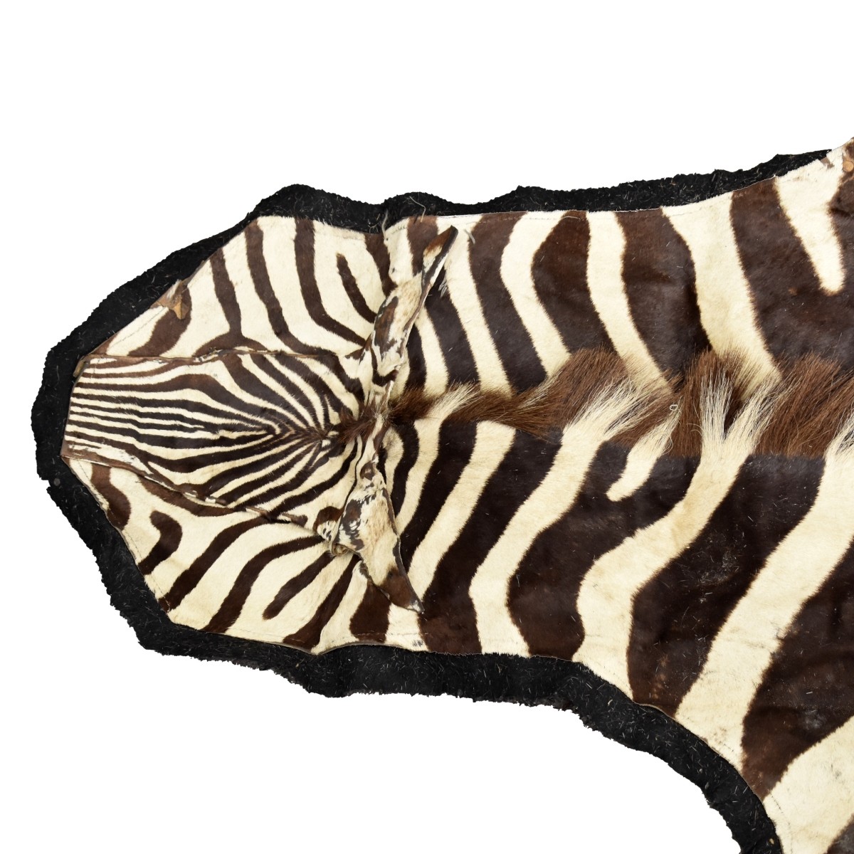 African Zebra Full Skin Rug