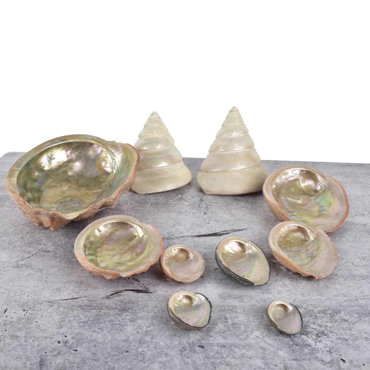 Vintage Natural Mother of Pearl Shells