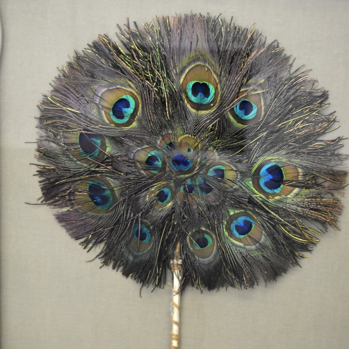 Vintage Peacock Feather in Shadowbox Frame
