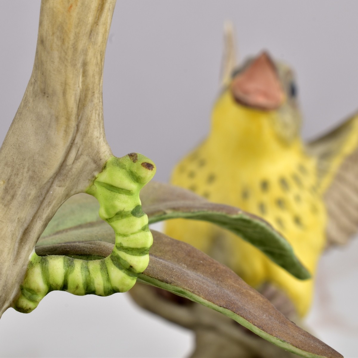 Boehm Bird Groups