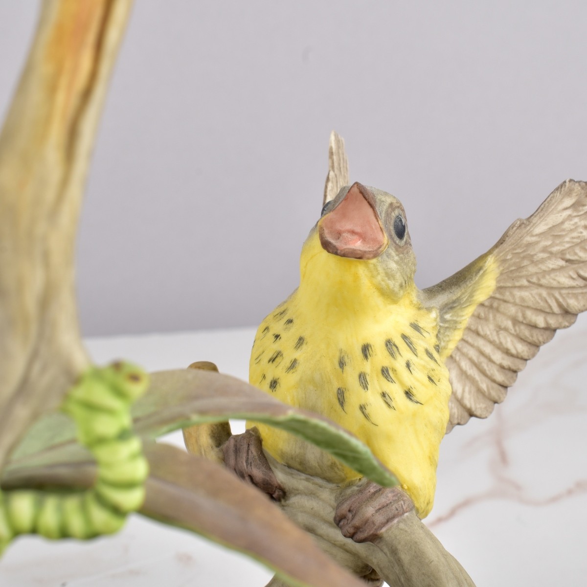 Boehm Bird Groups