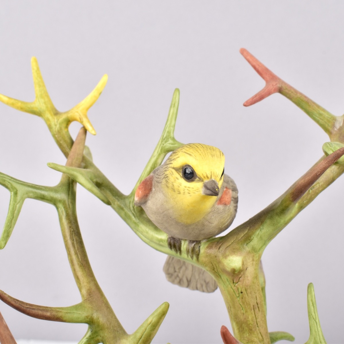 Boehm Bird Groups
