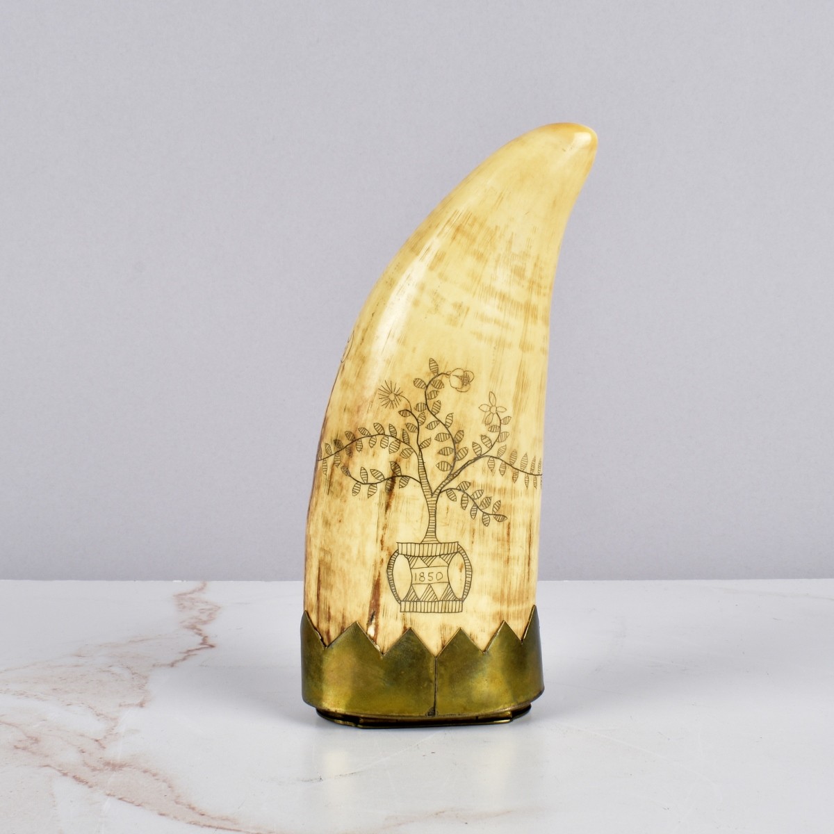 Antique Scrimshaw Whales Tooth