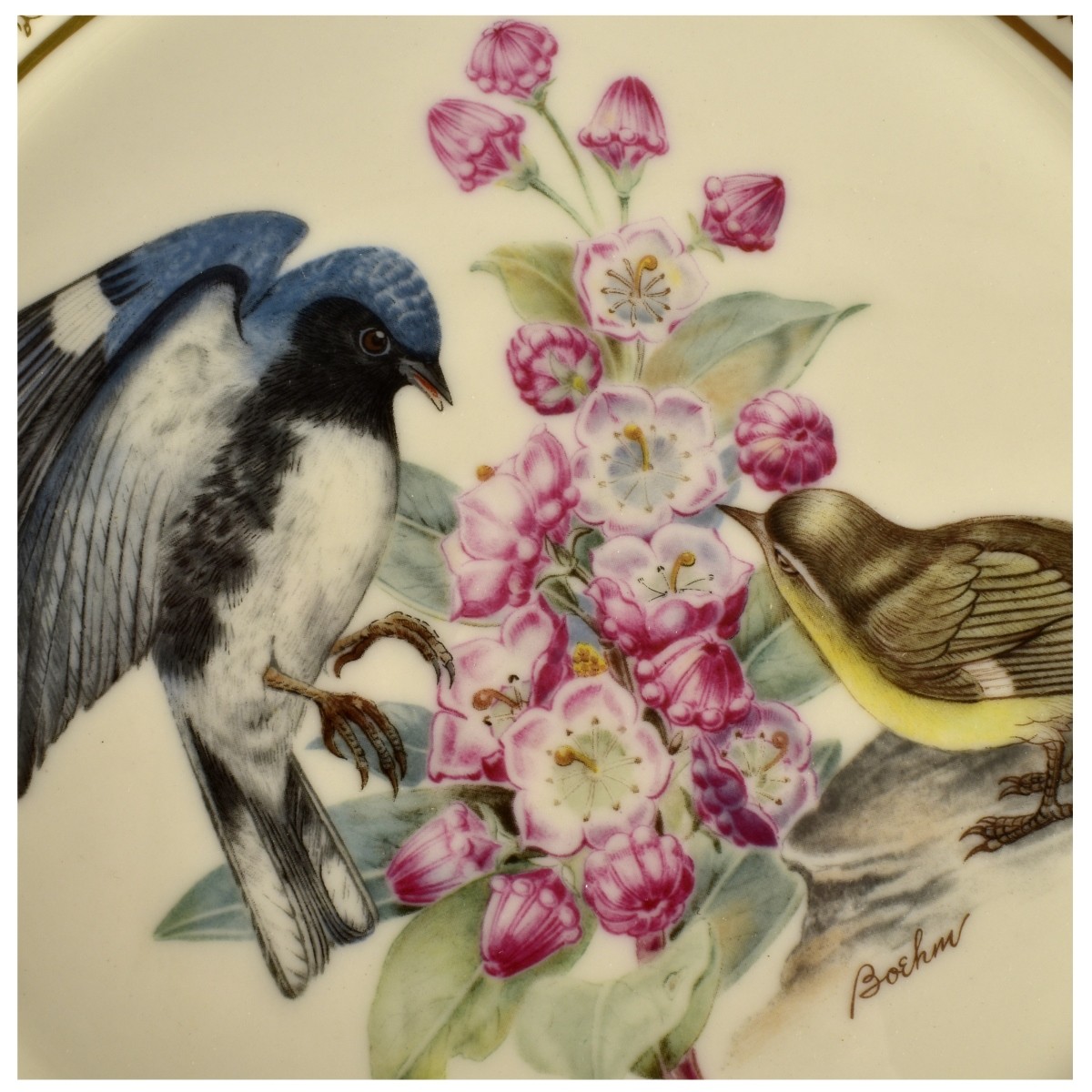 11 Boehm Bird Collector Plates