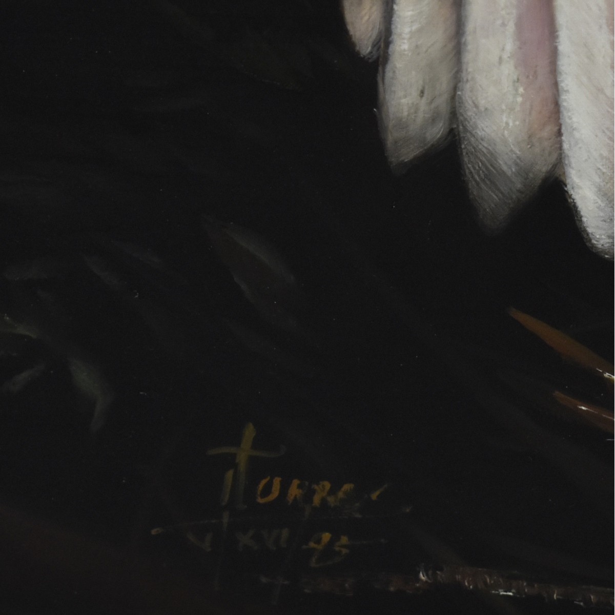Torres (20th C.)