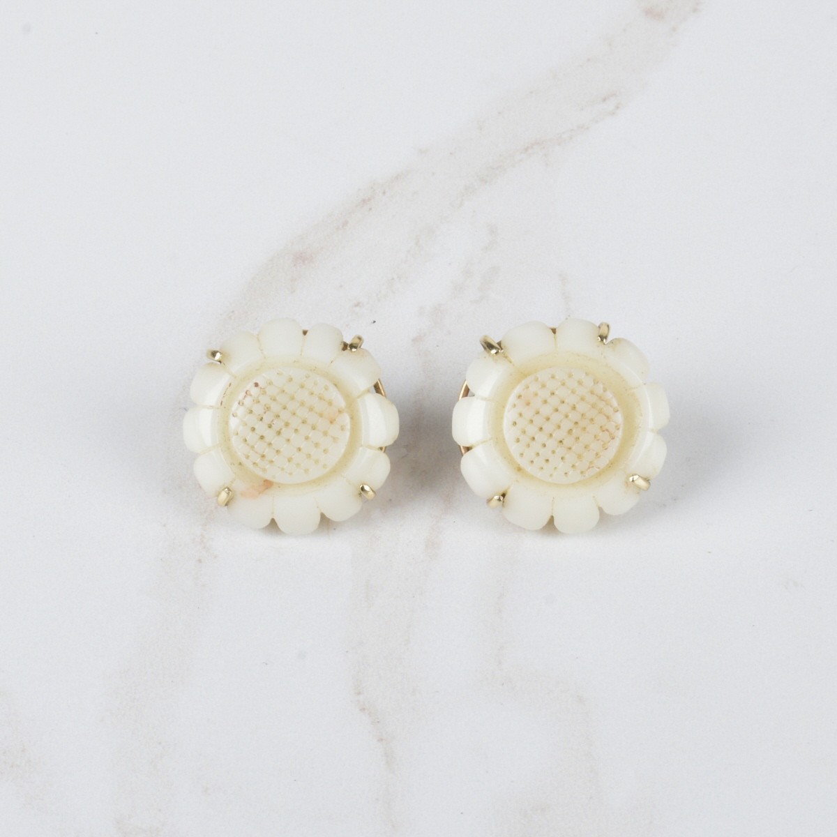 Coral and 14K Earrings