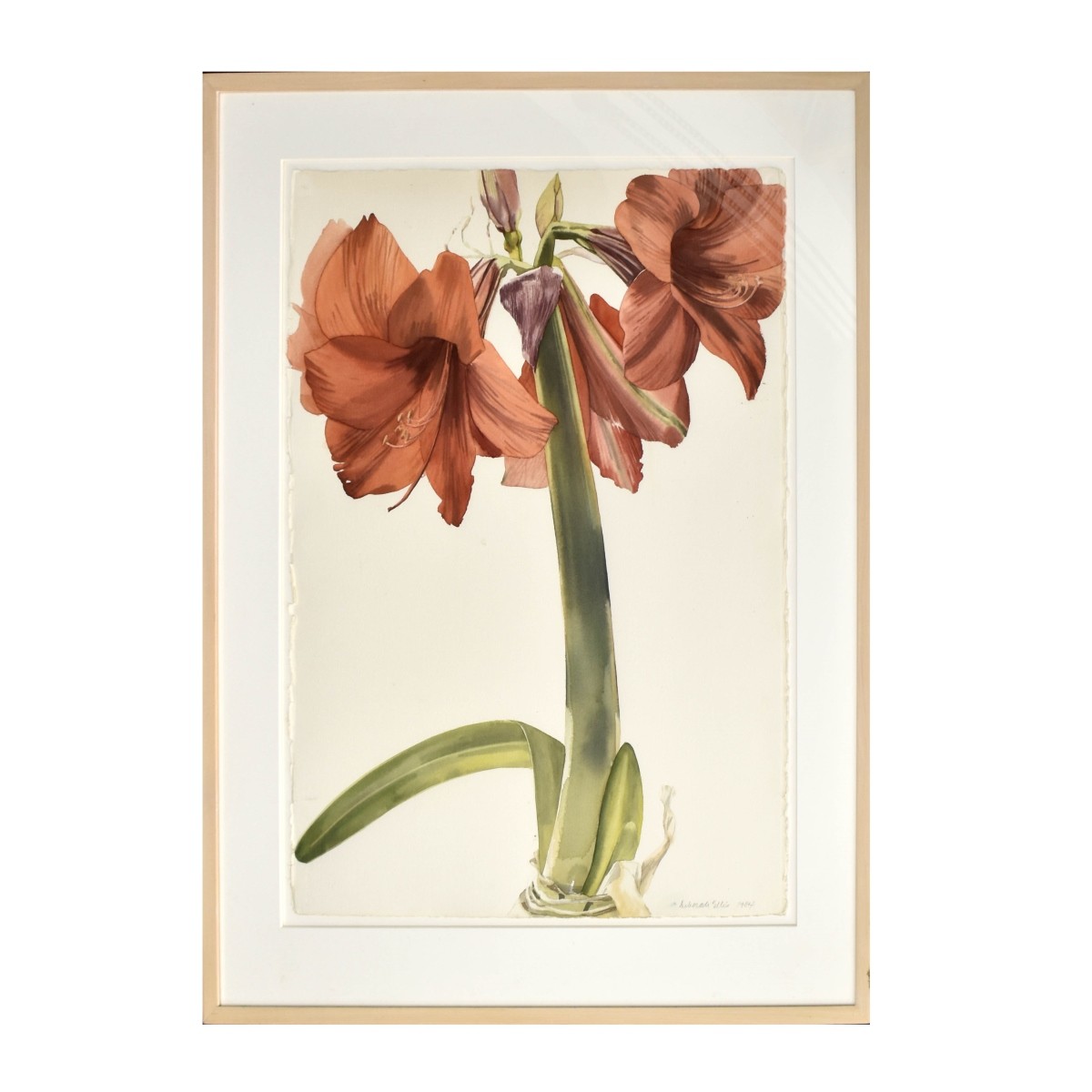 Debbie Ellis "Amaryllis" Flowers
