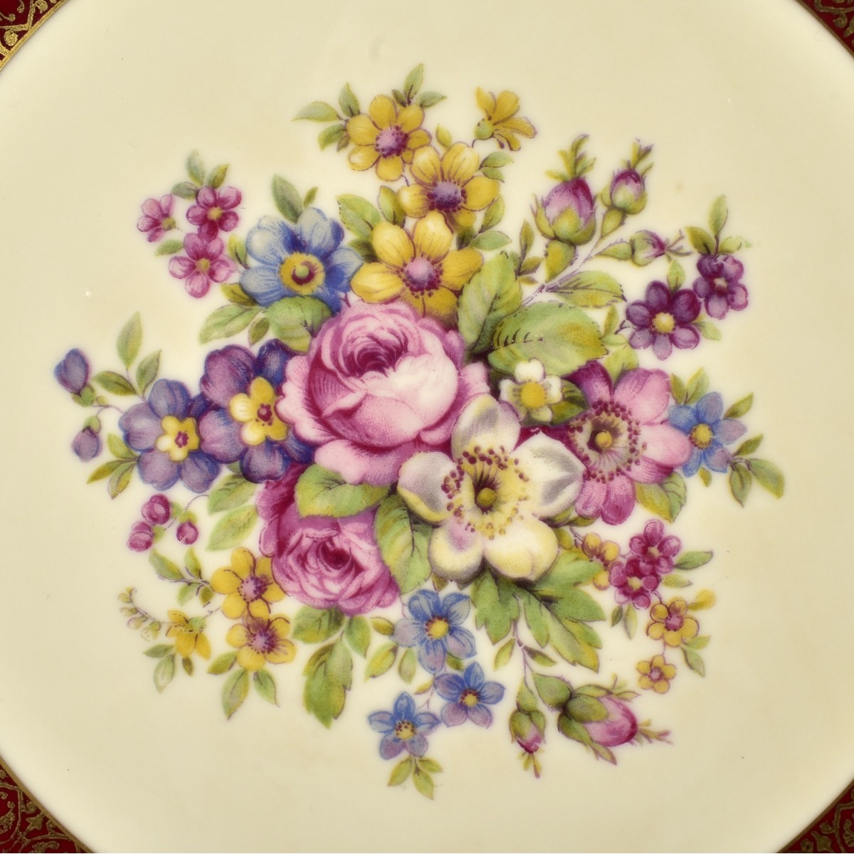 Vintage Porcelain Dinner Plates