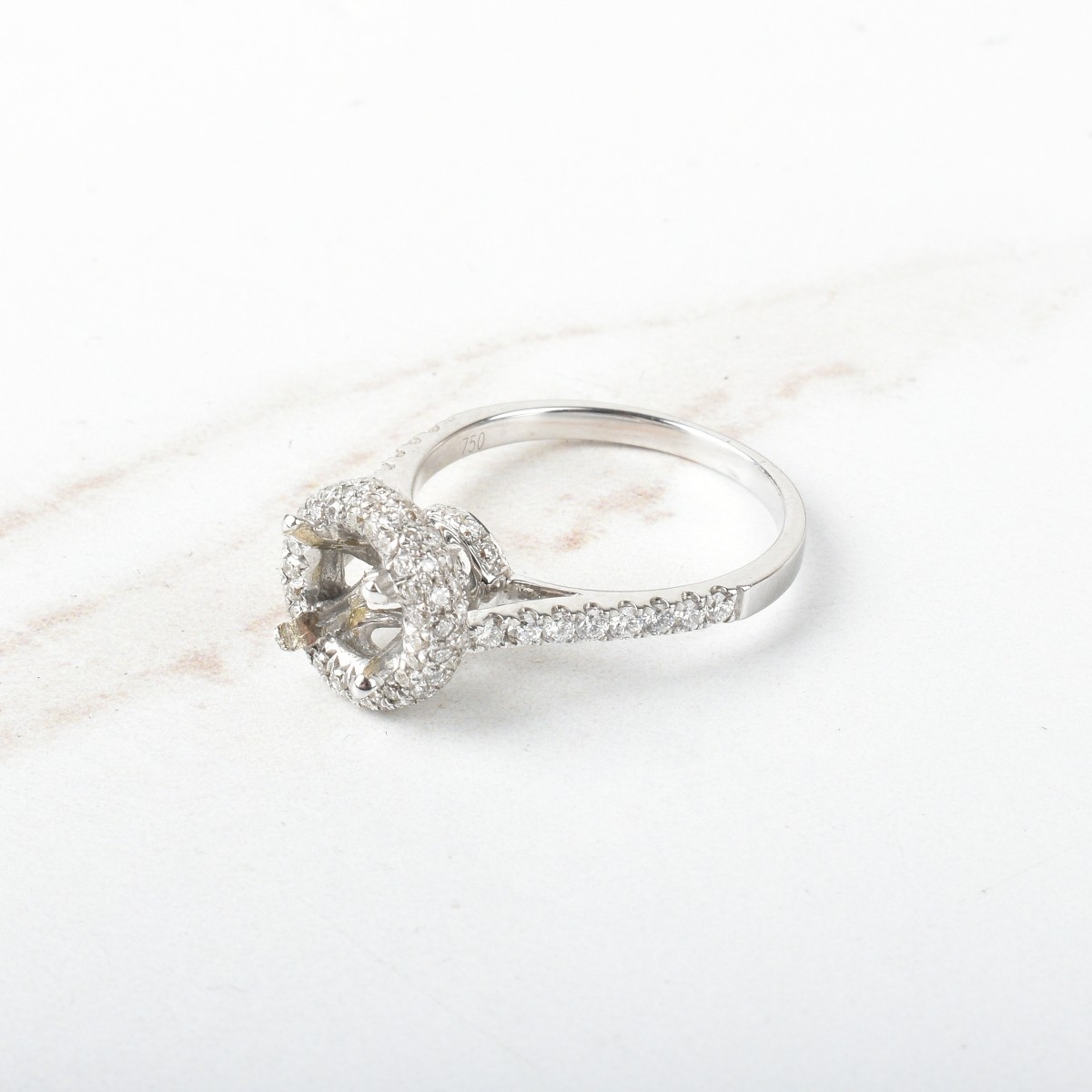 Diamond and Platinum Ring Mount