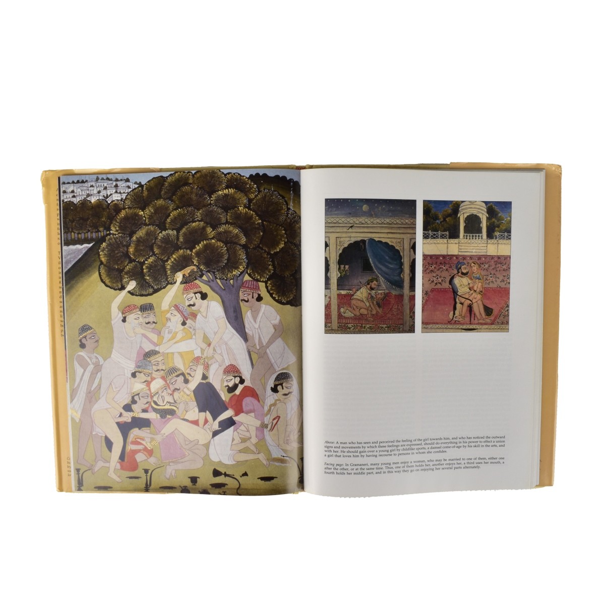 Collection of Art Reference Books