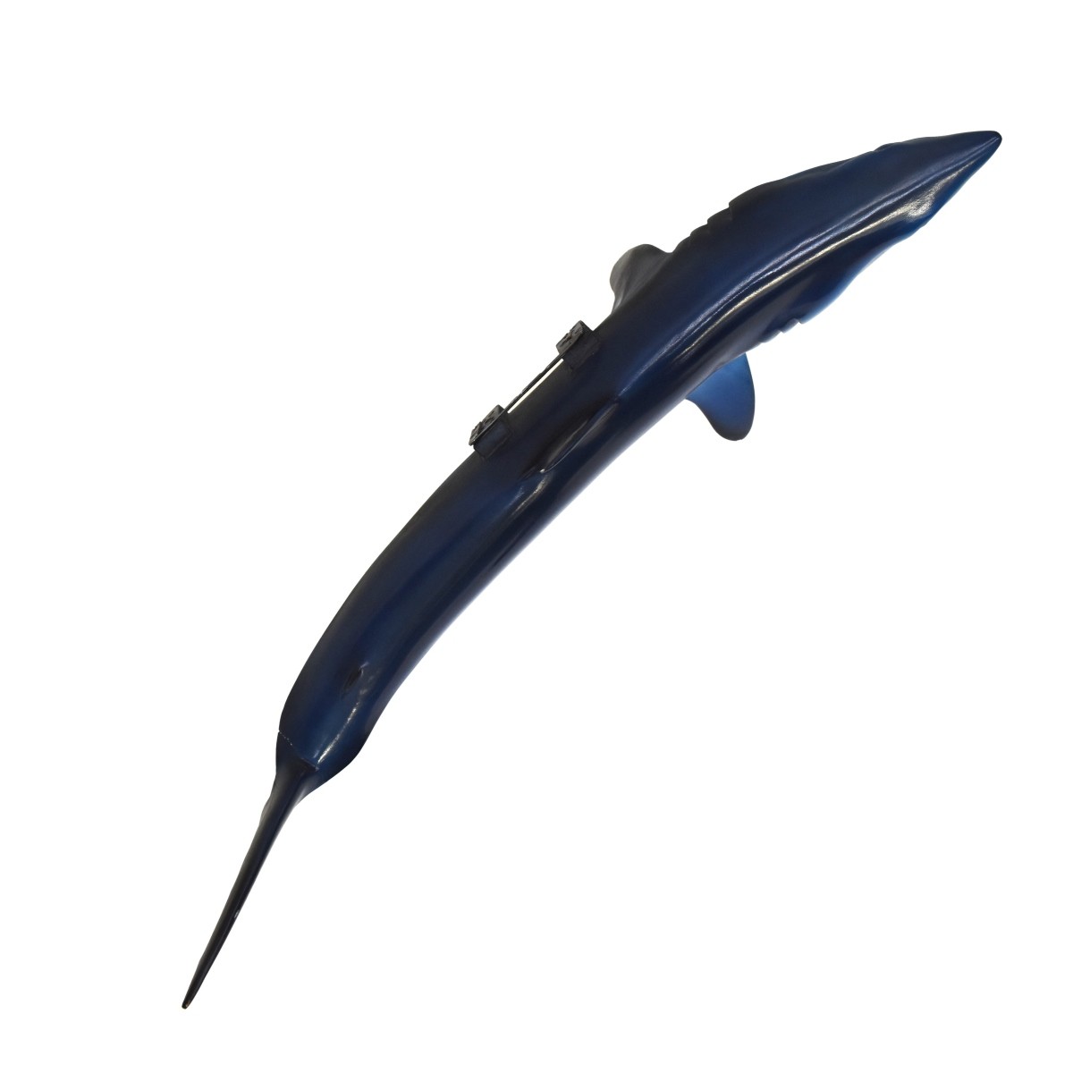 Mako Shark Taxidermy Mount