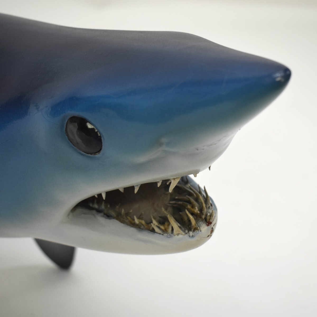 Mako Shark Taxidermy Mount