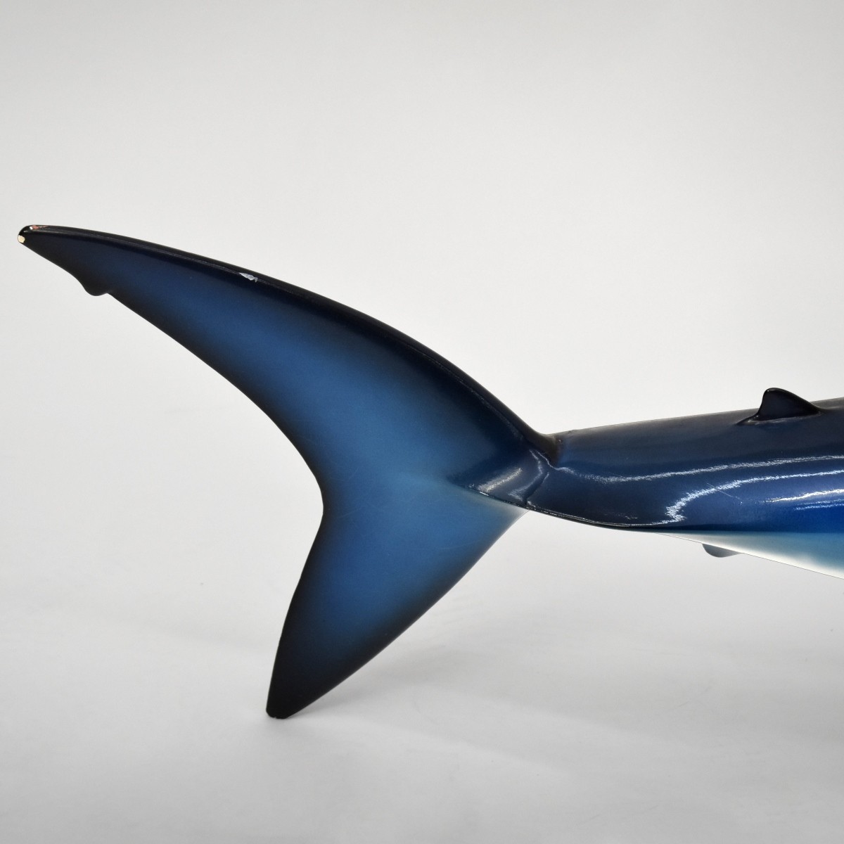 Mako Shark Taxidermy Mount