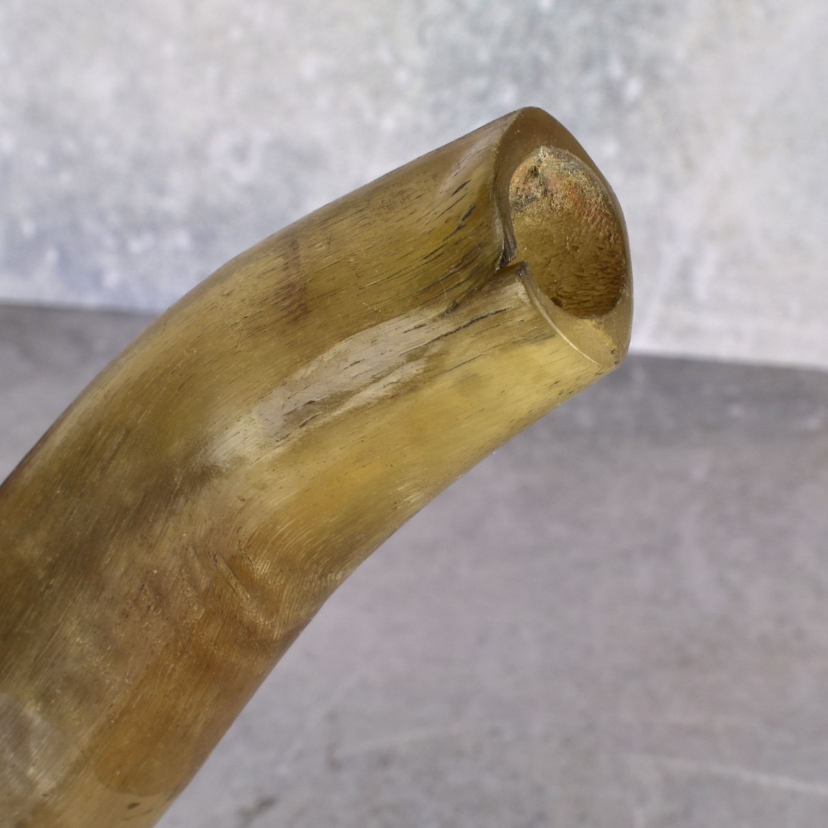 Vintage Polished Ram Horn Shofar