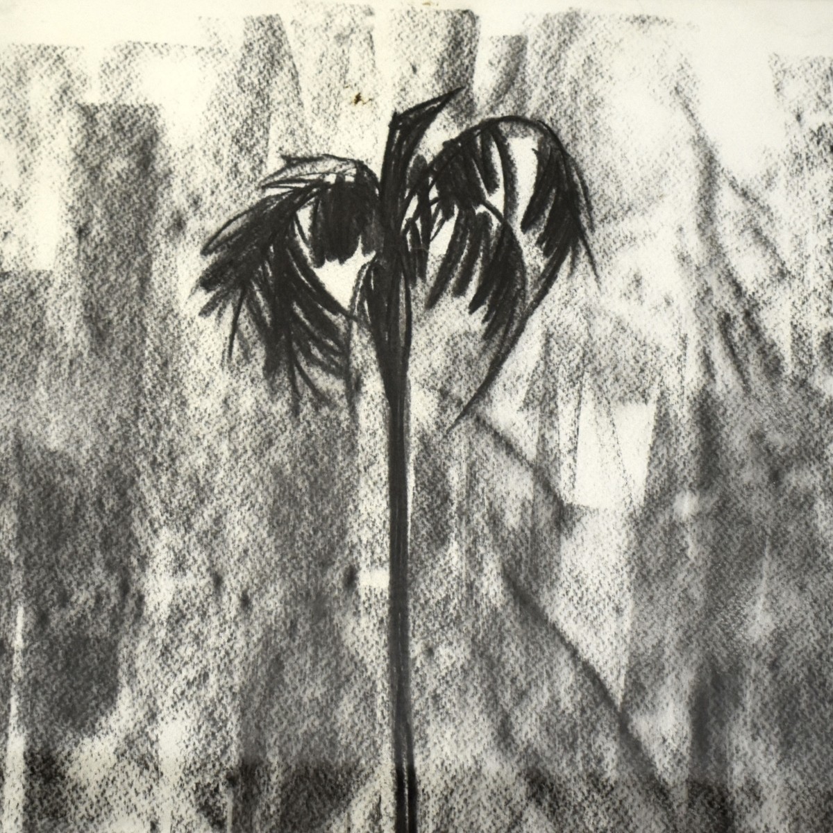 Alexis Leyva Machado (Kcho), Cuban (b. 1970