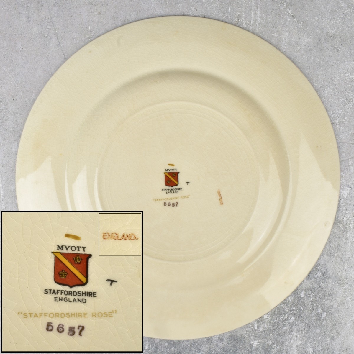 Myott/Staffordshire "Rose" Porcelain Dinner Plate