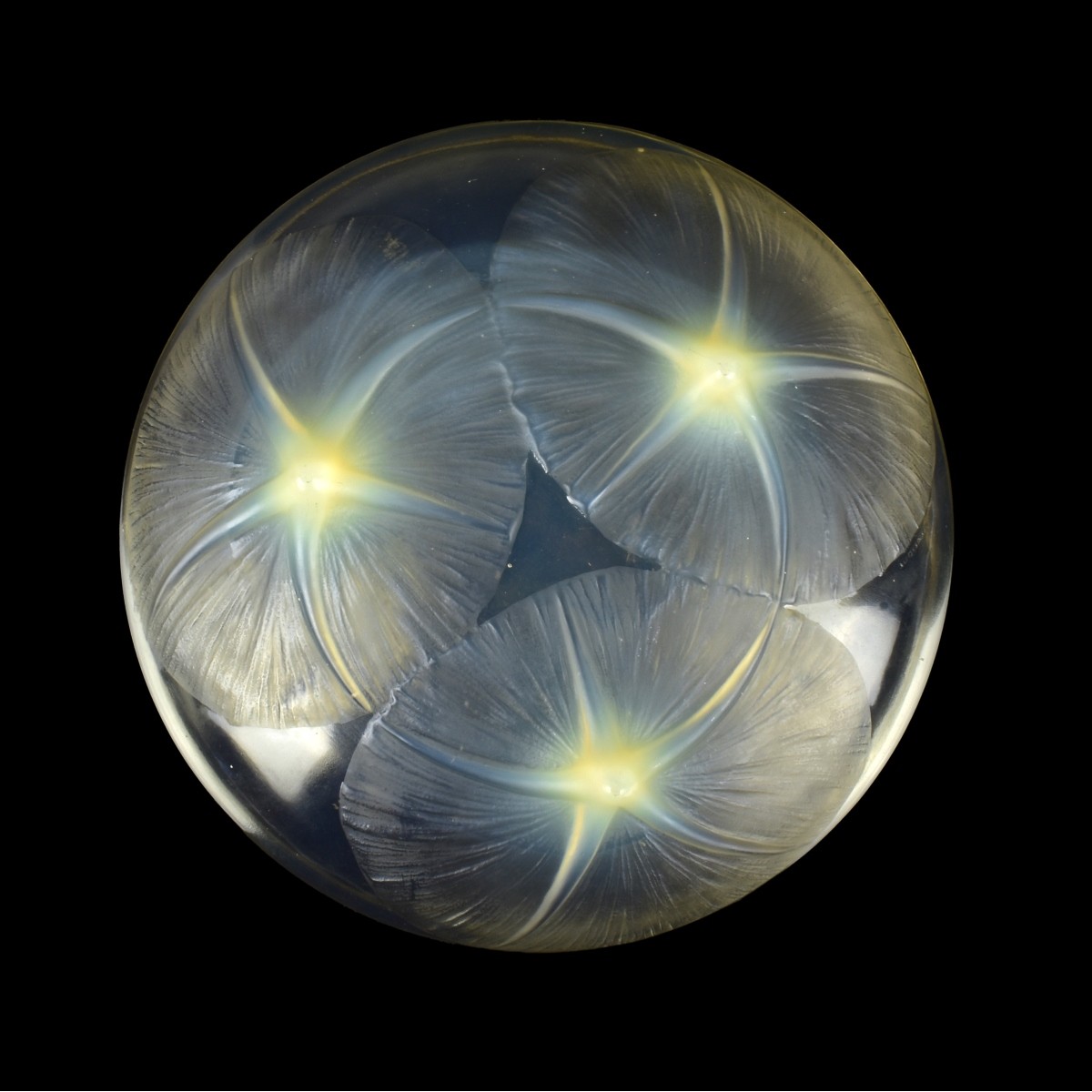 Rene Lalique "Volubilis" Bowl