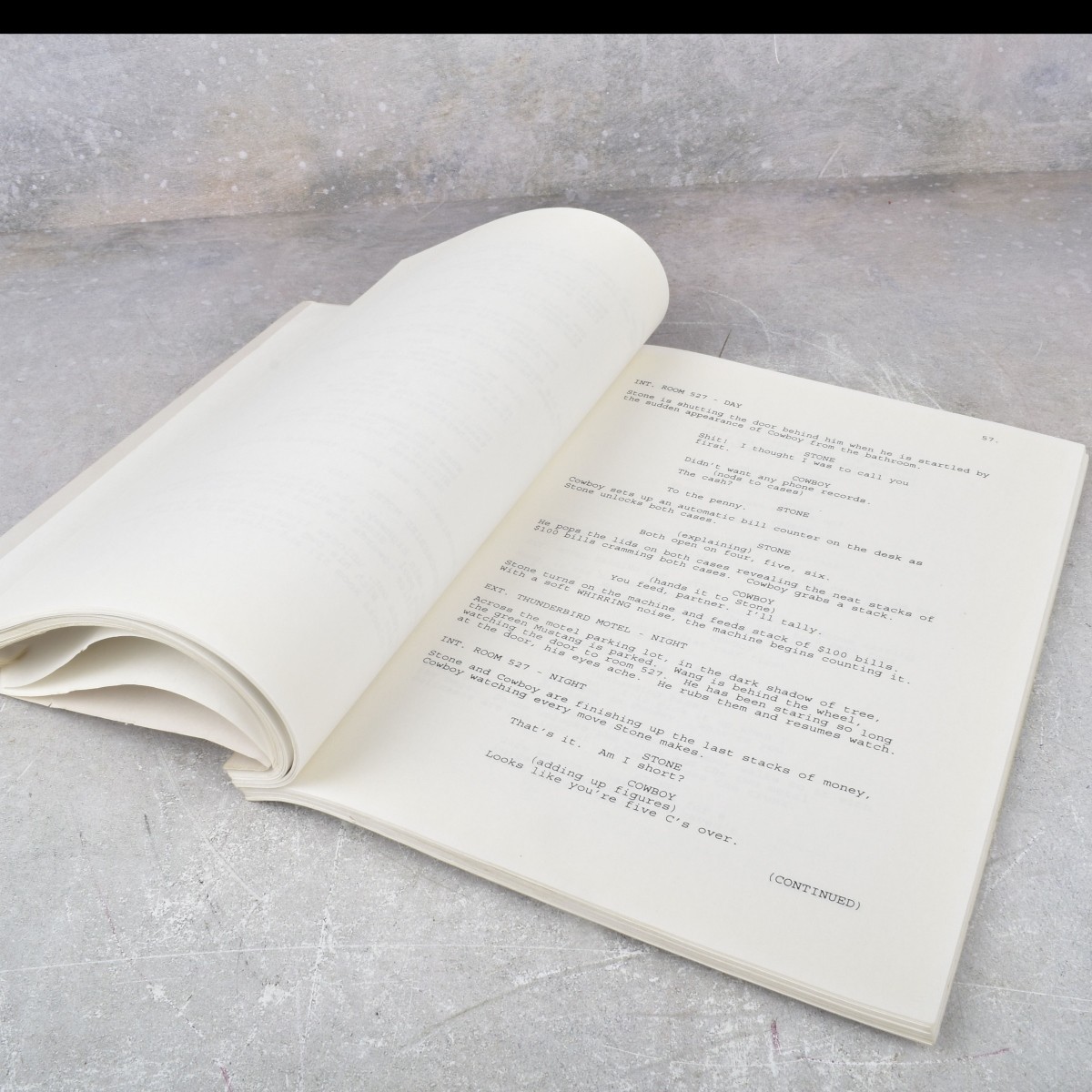 "Riding The Tiger" Script Screenplay