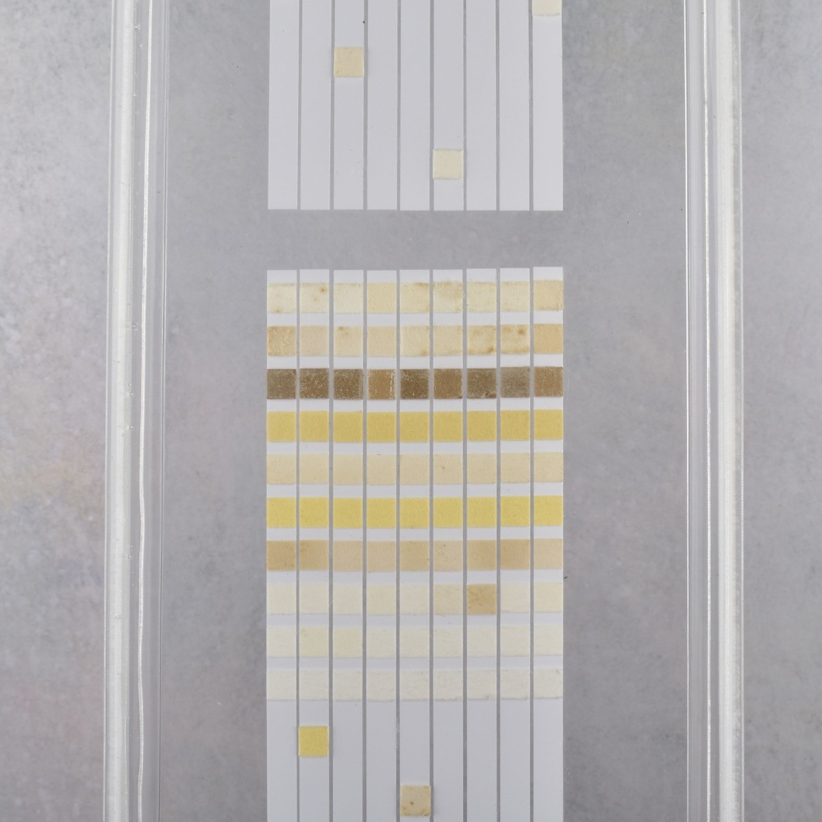 Agam Style Acrylic Encased Art Strips
