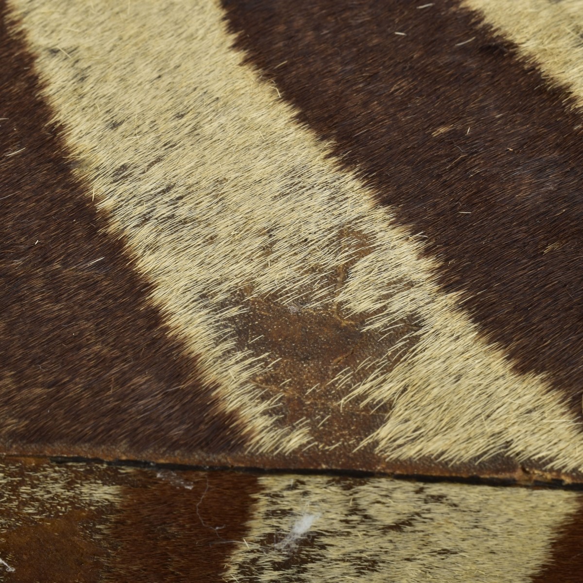 Vintage Zebra Hide Covered Wood Box