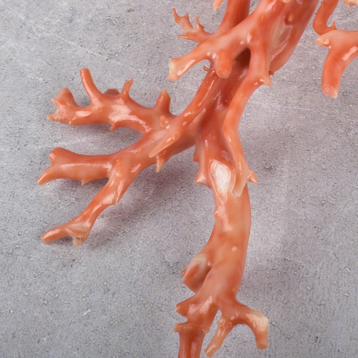 Antique Carved Natural Coral