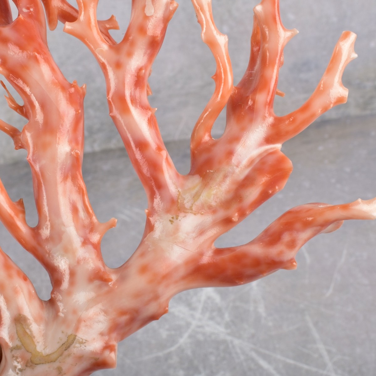 Antique Carved Natural Coral