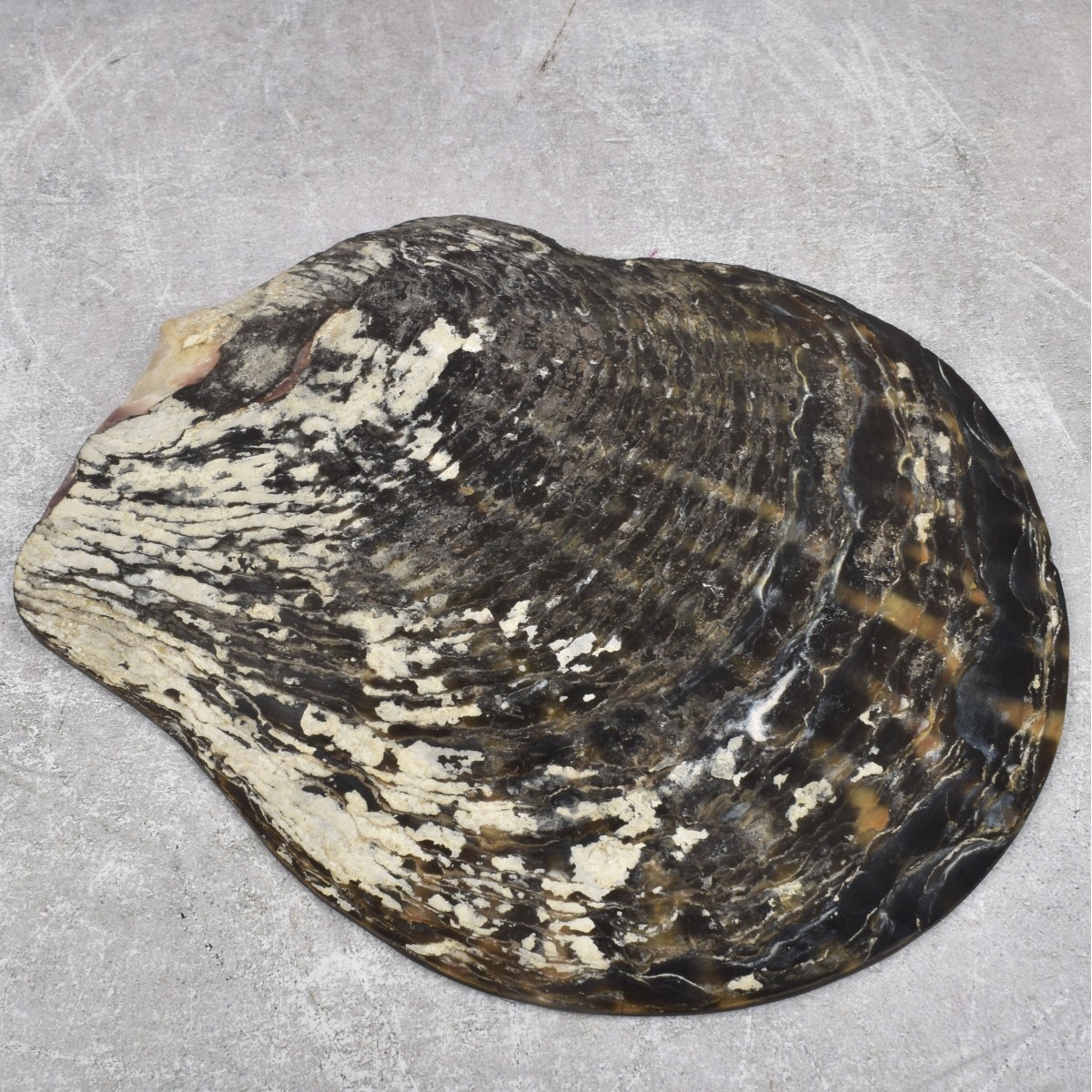 Natural Stone Pieces