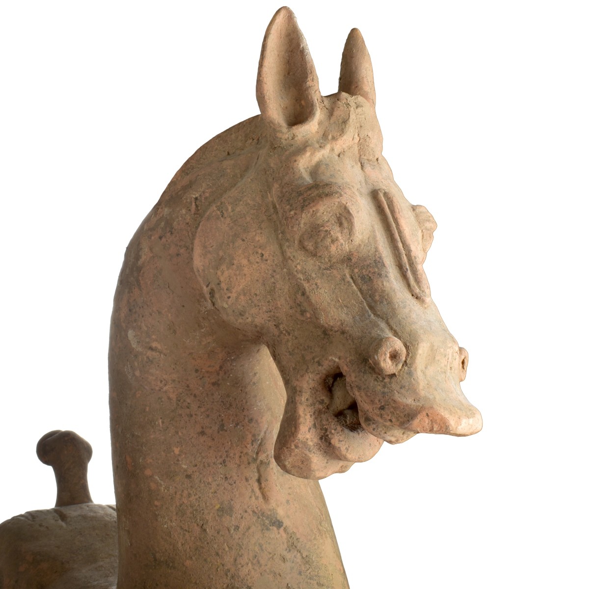 Chinese Tang Dynasty Terracotta Horse