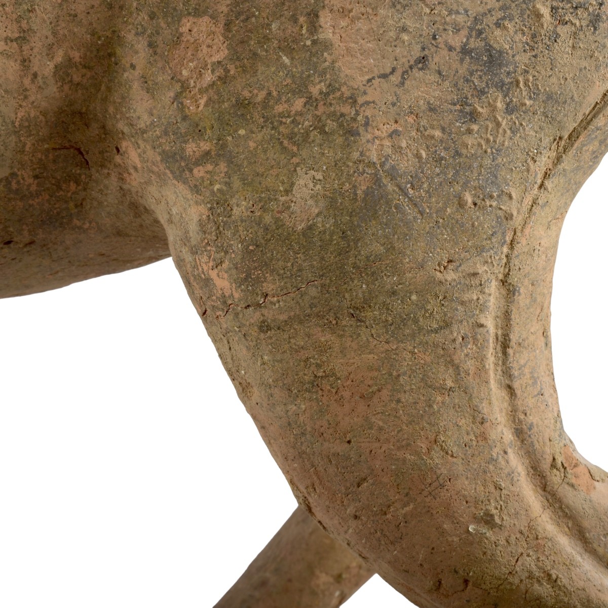 Chinese Tang Dynasty Terracotta Horse