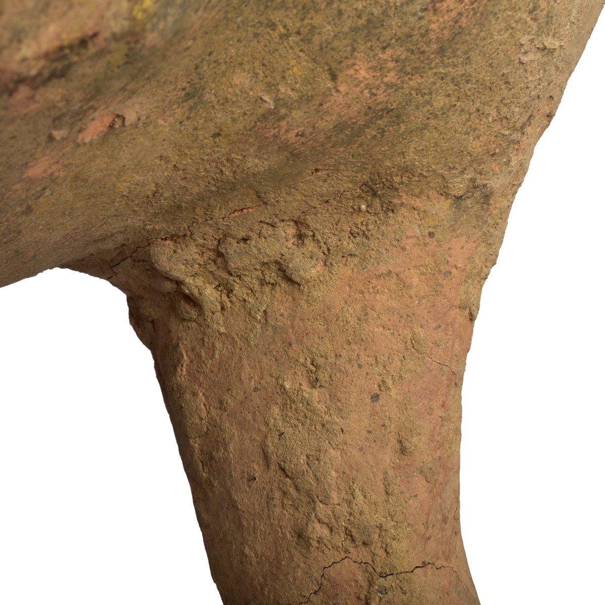 Chinese Tang Dynasty Terracotta Horse