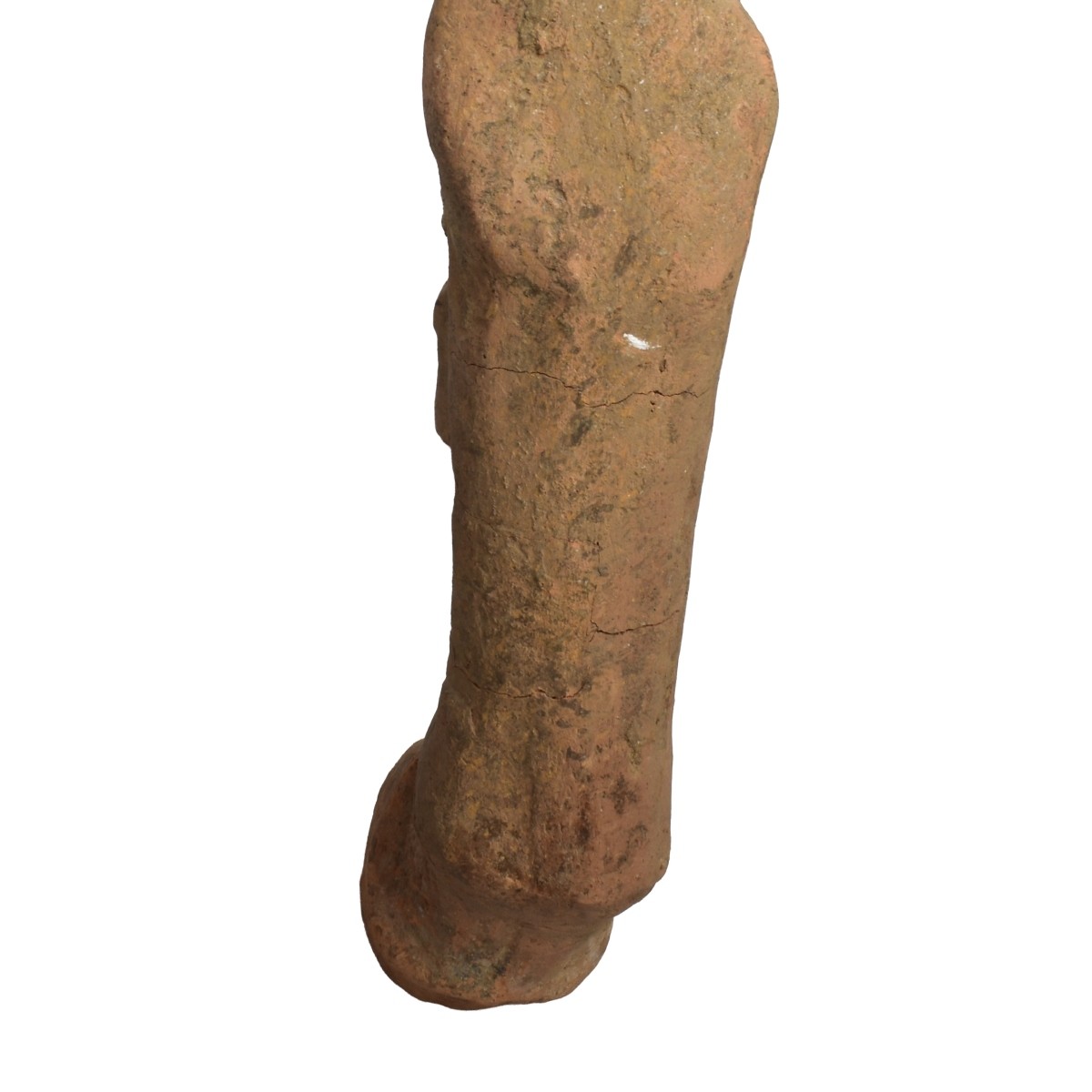 Chinese Tang Dynasty Terracotta Horse