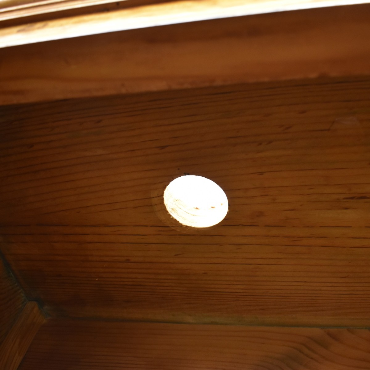 Antique Biedermeier Karelian Birch Cabinet