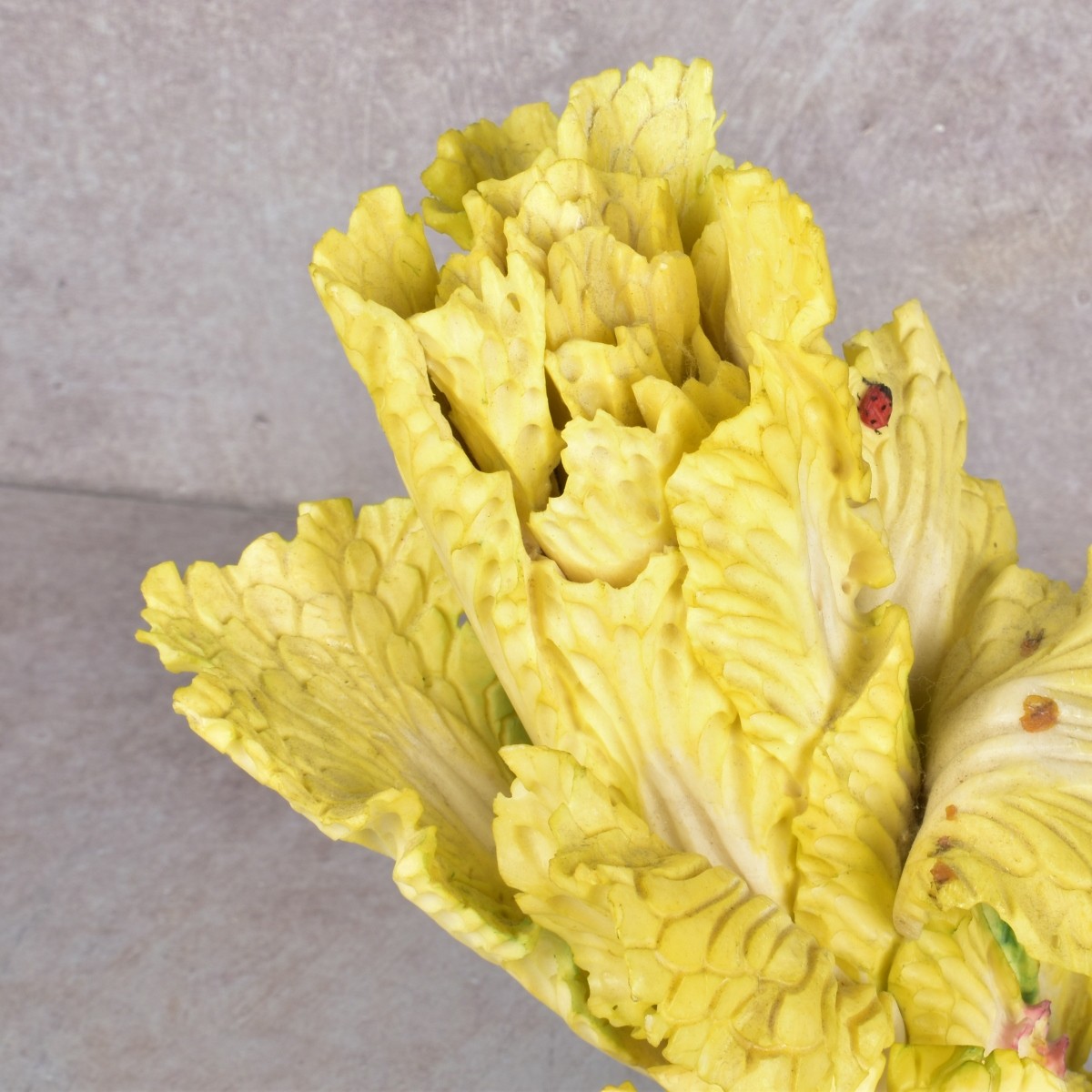 Antique Chinese Bok Choy