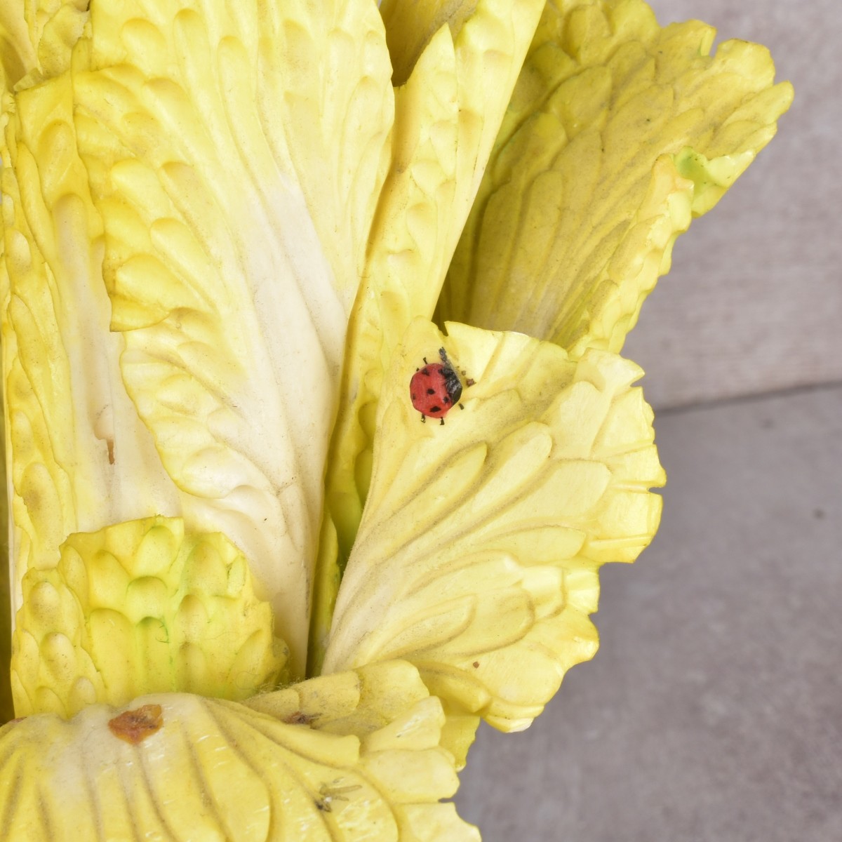 Antique Chinese Bok Choy