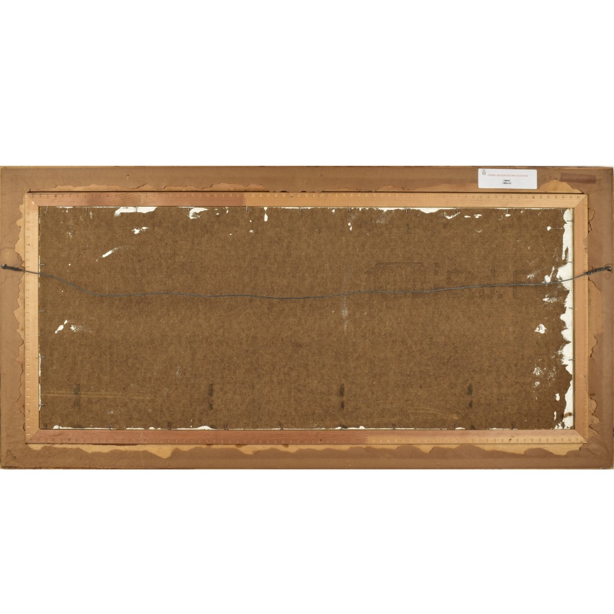 Patricia Thomas, Am. (20th C.)